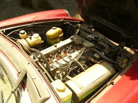 1981 Alfa Romeo Spider Veloce engine