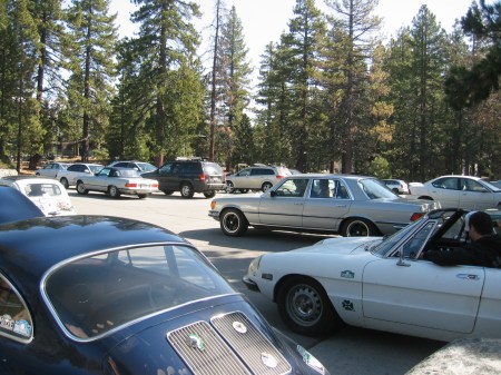 The other ratty Alfa