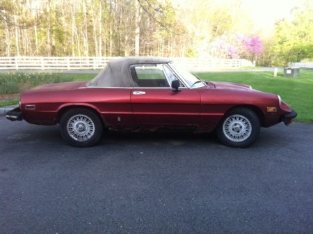 1976 Alfa Romeo Spider