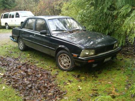 1984 Peugeot 505 diesel right front