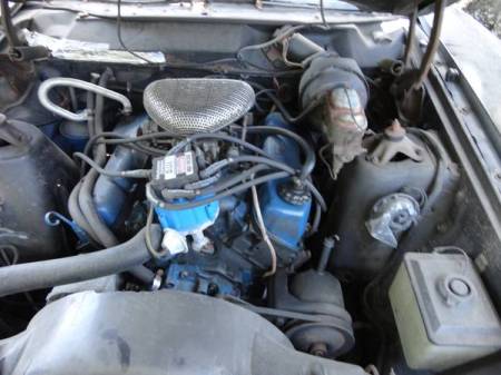 1971 Ford Torino Squire engine