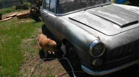 1959 Lancia Flaminia Berlina right front