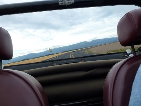 10 1977 Alfa Spider and 1972 BMW 2002tii in Willamette Valley