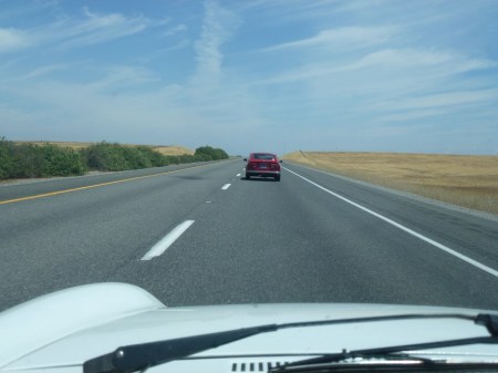 5 1979 Alfa Alfetta GT and 1977 Alfa Spider 2