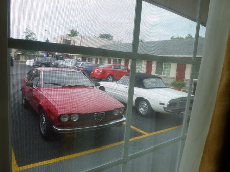 8 1979 Alfa Alfetta GT and 1977 Alfa Spider morning view at the Rodeway Inn