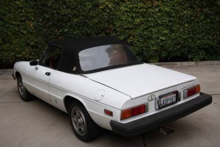 1982 Alfa Romeo Spider Veloce left rear