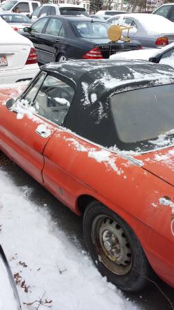 1972 Alfa Romeo Spider Veloce left rear