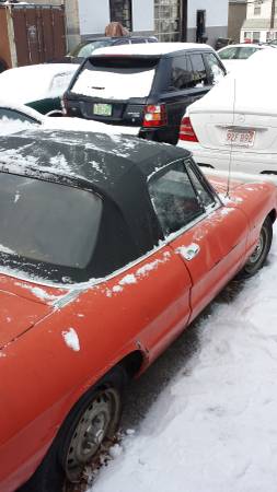 1972 Alfa Romeo Spider Veloce right rear