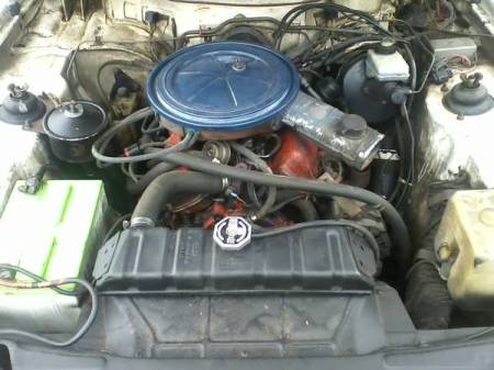 1977 Ford Capri engine