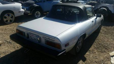 1982 Alfa Romeo Spider Veloce 2 right rear